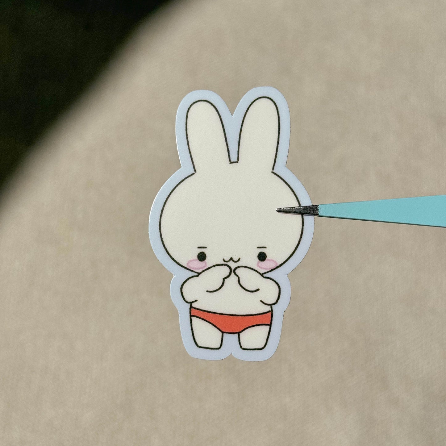 vinyl sticker - panty bunji